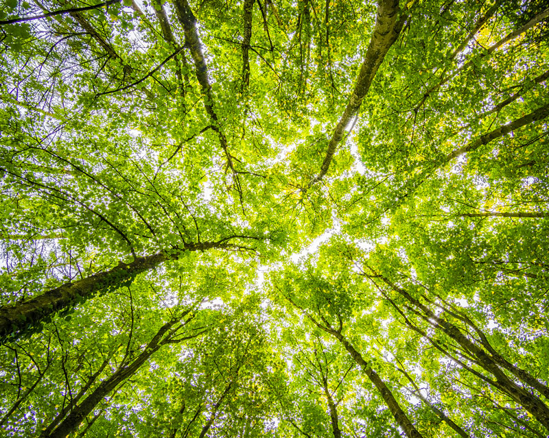 démarches environnementales